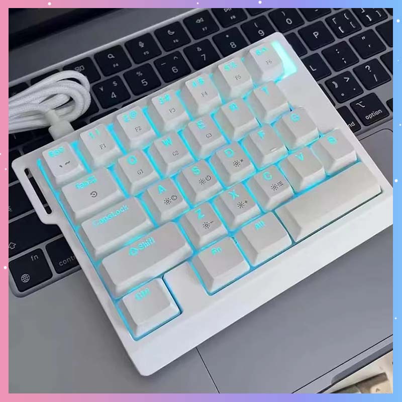 HE30 メカニカルゲーミングキーボード 29キー 磁気スイ - Esports Gaming Keyboard のレビューと価格